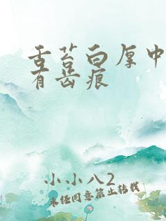 舌苔白厚中间黄有齿痕