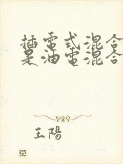 插电式混合动力是油电混合吗