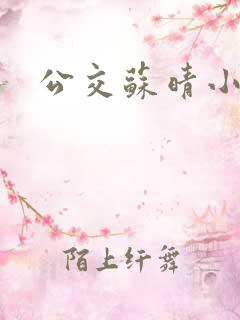 公交苏晴小说