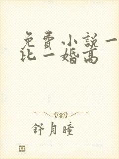 免费小说一婚还比一婚高