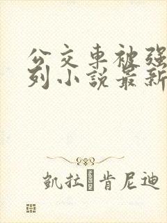 公交车被强d系列小说最新章节