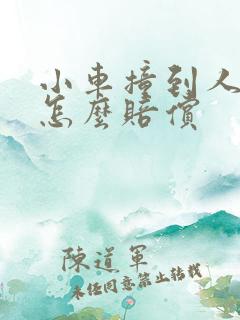 小车撞到人全责怎么赔偿