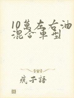 10万左右油电混合车型