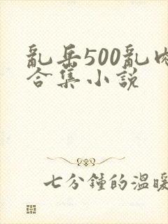 乱岳500乱肉合集小说