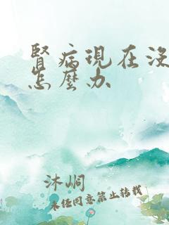 肾病现在没有尿怎么办