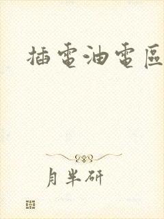 插电油电区别
