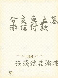公交车上怎么用微信付款