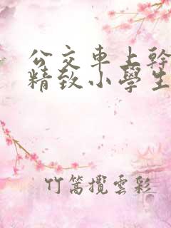 公交车上干两个精致小学生—小说