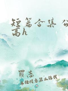 短篇合集 公车高h