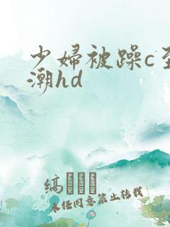 少妇被躁c至高潮hd