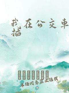 我在公交车上被插