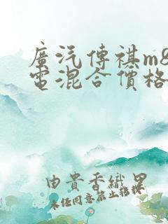 广汽传祺m8油电混合价格