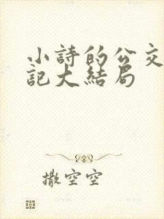 小诗的公交车日记大结局