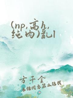 (np,高h,纯肉)乱l