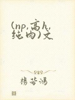 (np,高h,纯肉)文