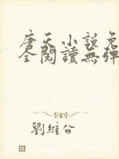 唐天小说免费大全阅读无弹窗