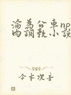 沦为公车np纯肉调教小说