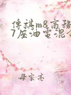 传祺m8商务车7座油电混合