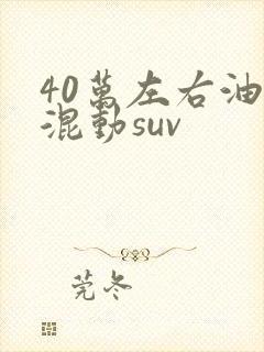 40万左右油电混动suv