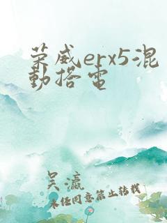 荣威erx5混动搭电