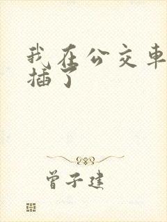 我在公交车上被插了