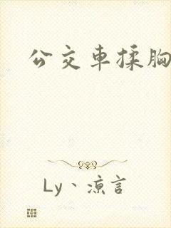 公交车揉胸啊嗯