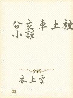 公交车上被插的小说