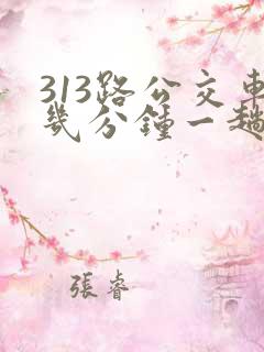 313路公交车几分钟一趟
