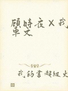 顾时夜×我高h车文