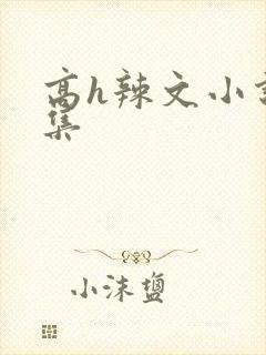 高h辣文小说合集