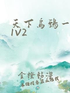 天下乌鸦一般黑1V2