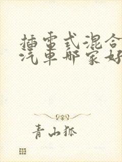 插电式混合动力汽车哪家好