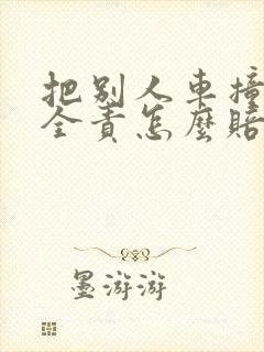 把别人车撞了我全责怎么赔偿