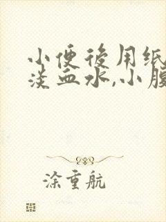 小便后用纸擦有淡血水,小腹微痛