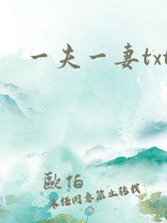 一夫一妻txt