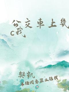 公交车上几个人c我