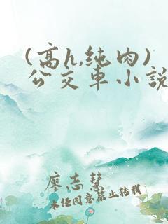 (高h,纯肉)公交车小说