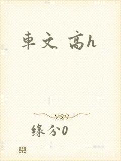 车文 高h