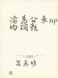 沦为公车np纯肉调教