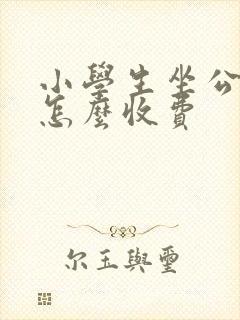 小学生坐公交车怎么收费