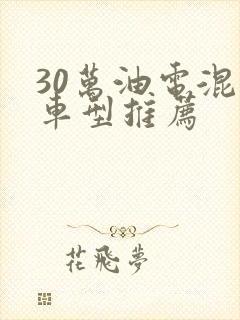 30万油电混动车型推荐