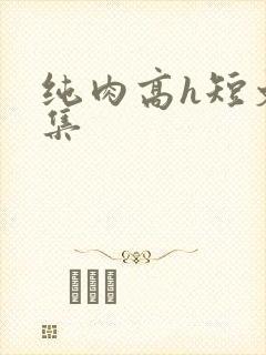 纯肉高h短文合集
