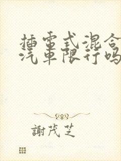 插电式混合动力汽车限行吗