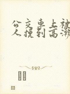 公交车上被陌生人摸到高潮