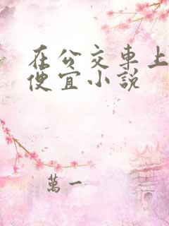 在公交车上被占便宜小说