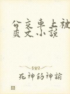 公交车上被强上爽文小说