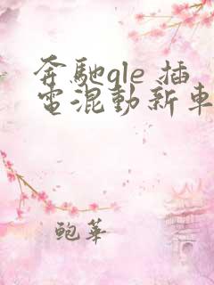 奔驰gle 插电混动新车落地价