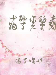 少帅你的老婆又跑了免费阅读