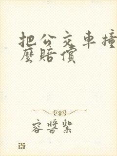 把公交车撞了怎么赔偿