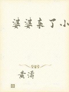 婆婆来了小说